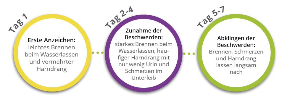 Symptome einer Blasenentzündung im zeitlichen Verlauf