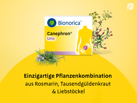 Produktbühne_Kachel_Pflanzlichkeit_Canephon_Packung_mit_Pflanzen